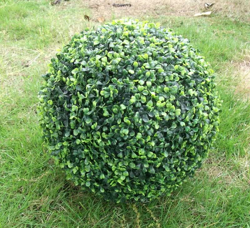 bb7