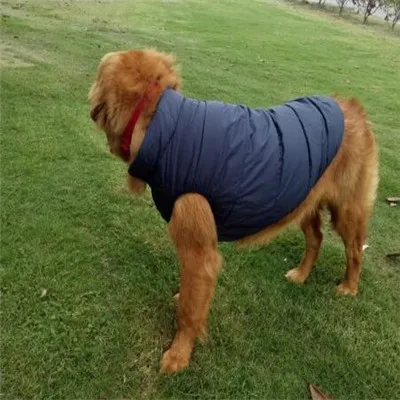 3020