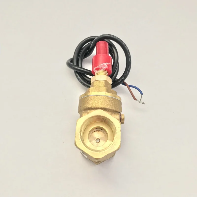 USB-FS21TA Baffle Type Flow Sensor Switch Reed Switch Brass Sensor 5-15L/min 250V DC 70W 2 wire Saier