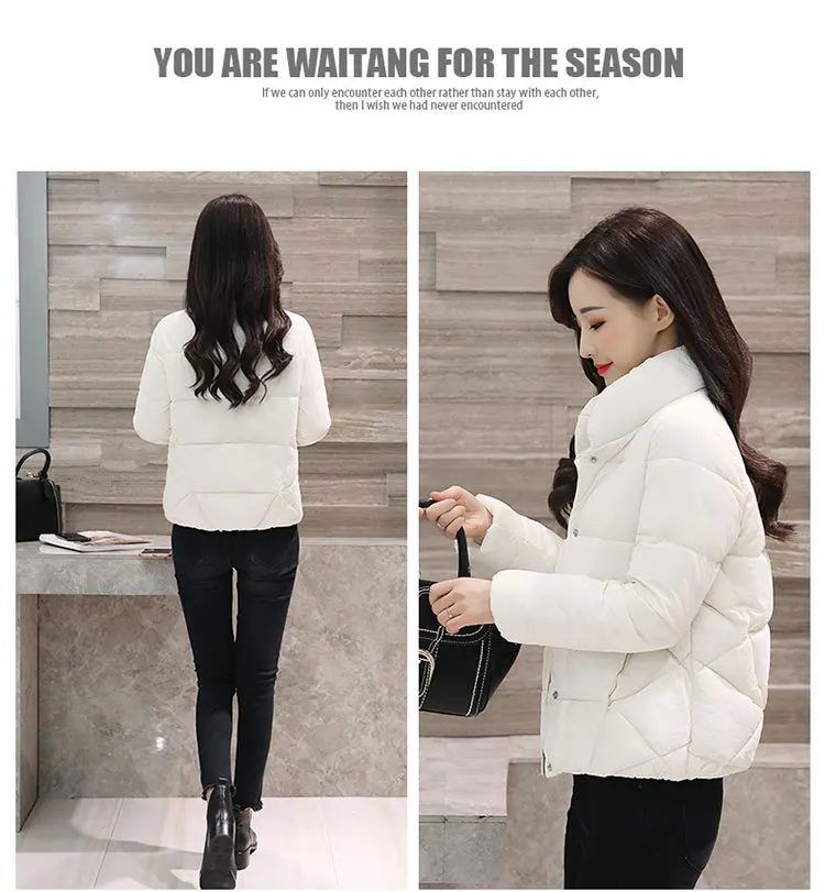 9237663133_1006637240