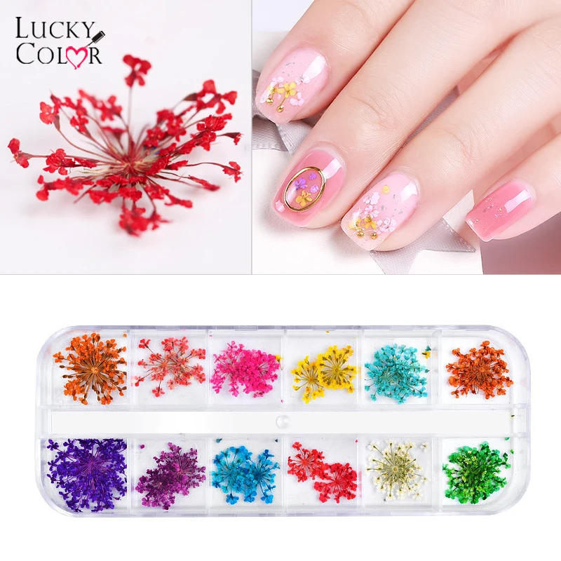 

1Box Natural Dried Flowers Leaf UV Gel Resin 3D Sticker Decoration Nail Art Decals Epoxy Mold DIY Filling Jewelry Accessories