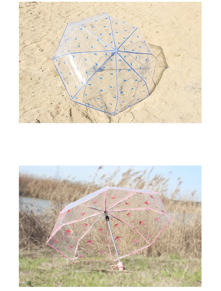 8590202163_1780228513
