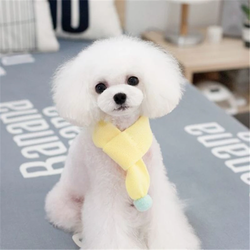 pets dogs accessories (13)