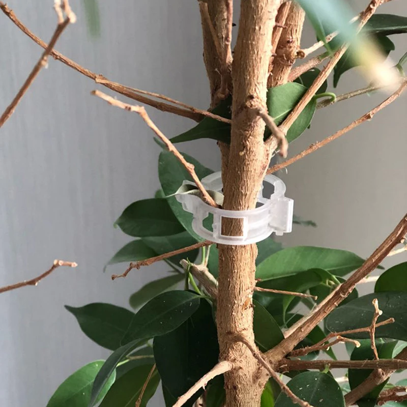 50 Trellis Tomato Clips Supports//Connects Plants//Vines Trellis//Twine//Cages AO