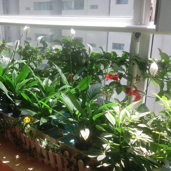 Three sets DIY flower vegetables Hydroponics system without earth Nutrient Film Technique PVC pipe plant pot plant nursery pot Three sets DIY flower vegetables Hydroponics system without earth Nutrient Film Technique PVC pipe plant pot plant nursery pot