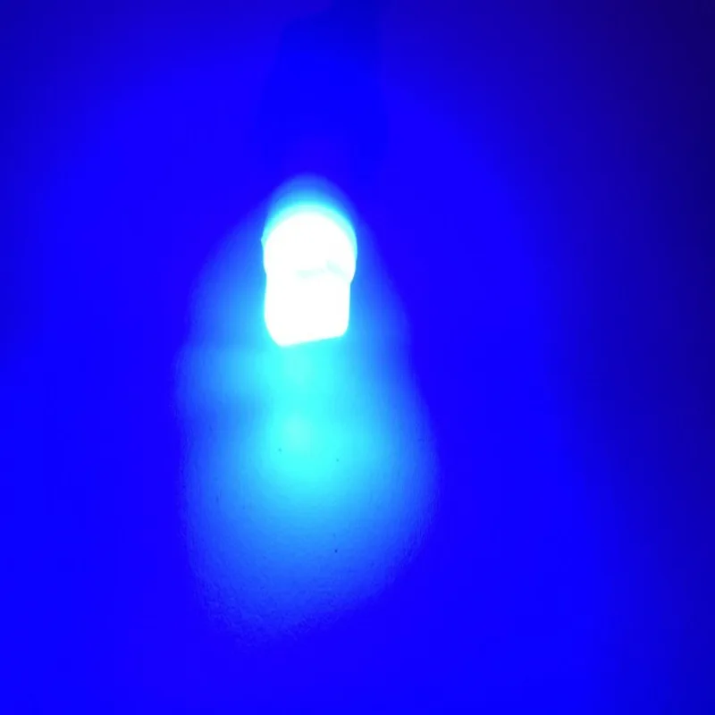 3316647960_736633873_