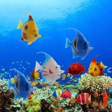 dropshipping aquarium supplies
