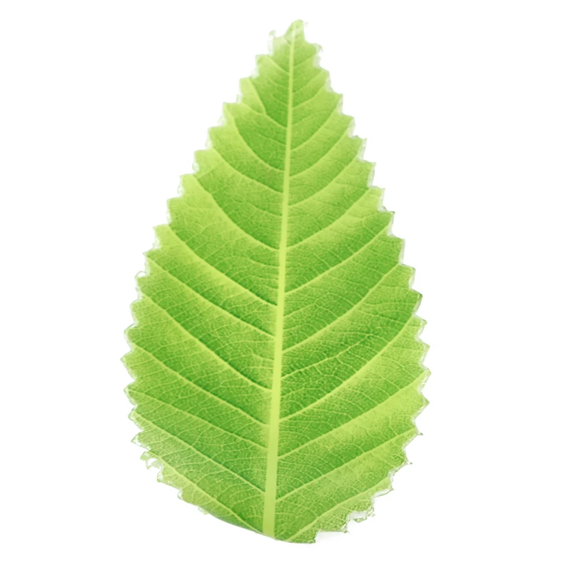 200 шт./упак. зеленый лист японский Еда украшение "суши" Листья суши трава Творческий Пластик лист Sashimi/инструменты для украшения