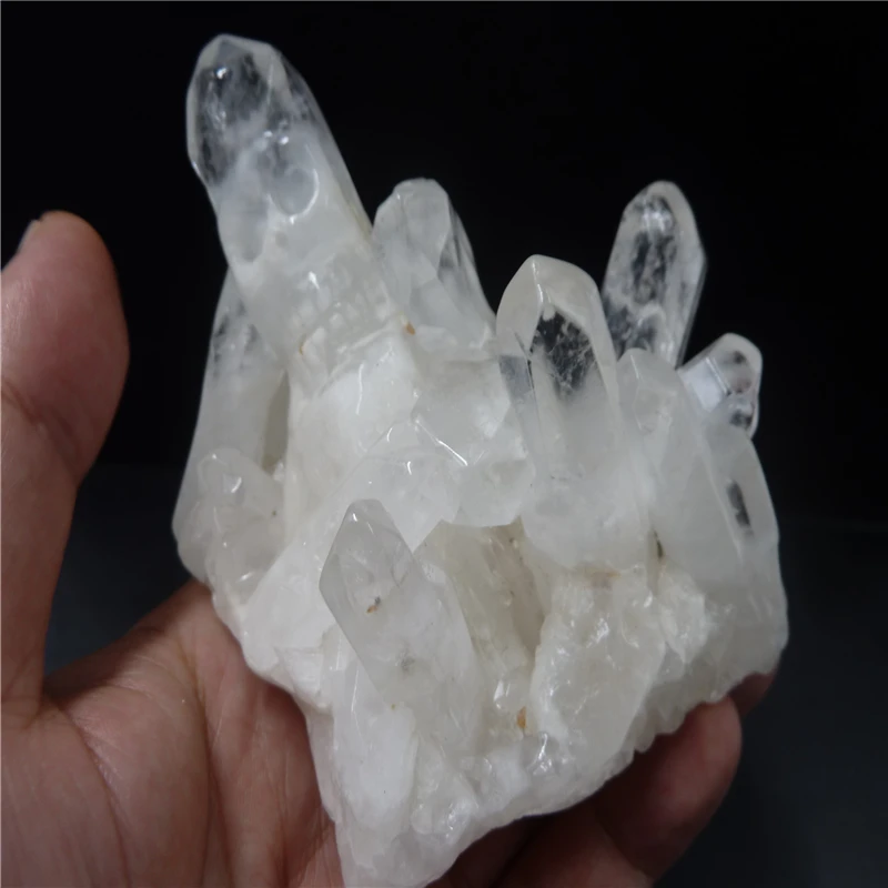 P1440559