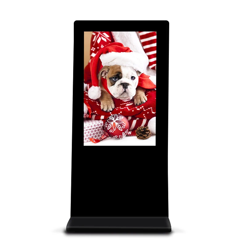 

10 Inch Android Wireless Wifi Electronic Frame 10.1" IPS LCD Digital Photo Picture Frame With Browser Wifi DPF1019