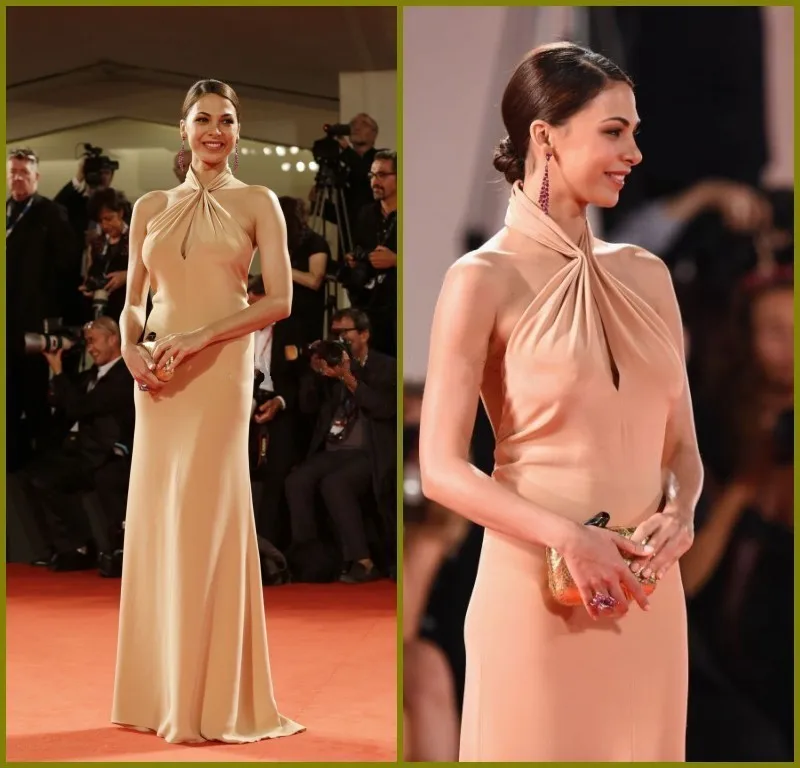 

Fashionable Evening Gowns Halter Low Back Long Evening Dress 2019 Mermaid Sexy vestidos para festa Long Party Dress CH2484
