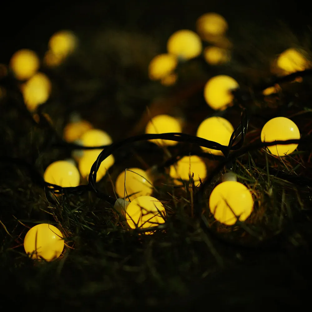 4280521738_1190791546