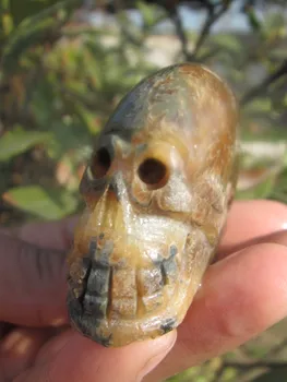 

83g natural quartz crystal snail fossil skull healing carving A1