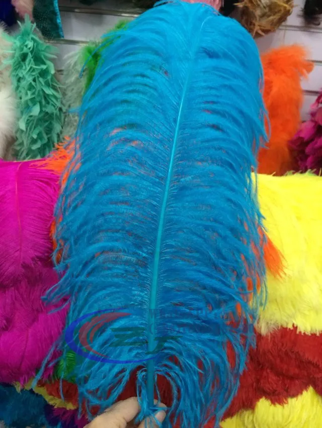 Buy Wholesale Top Quality Natural Ostich Feather 50pcs