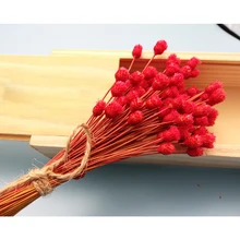 1 букет искусственных высушенных цветов декоративные вечные Цветы Букет Моделирование сухие ветки для украшения красный