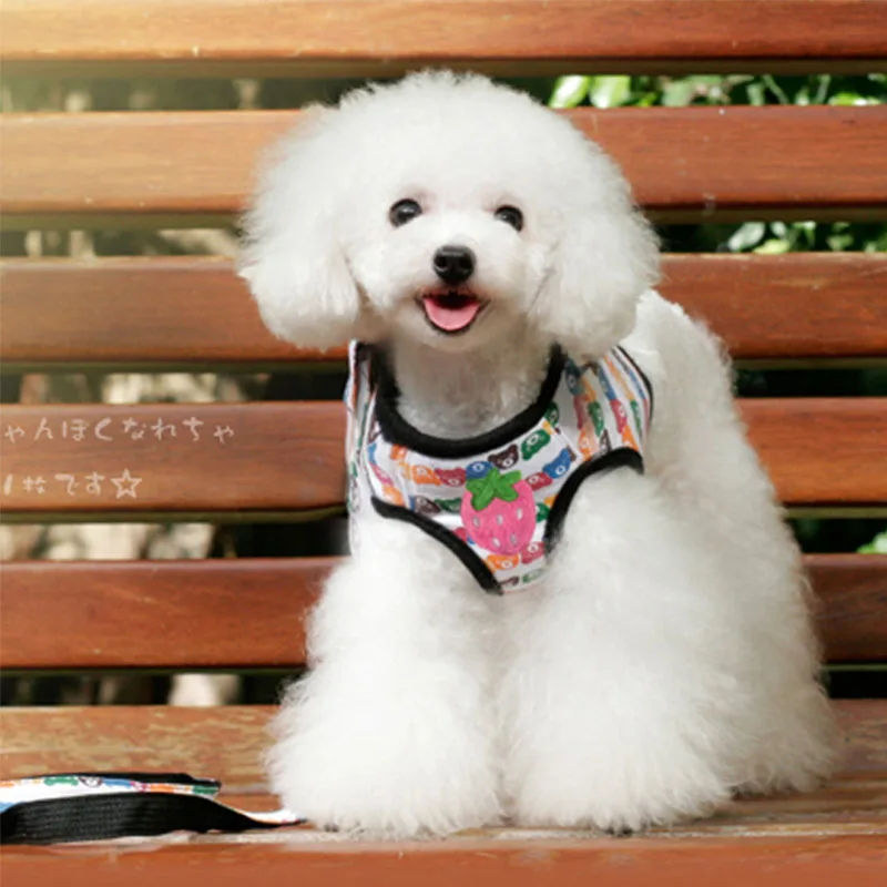 

Dog Harness Leash For Small Dogs Puppy Poodles Chihuahua Yorkshire Walking Lead Vest Soft Cute Cartoon Dog Product Accessories