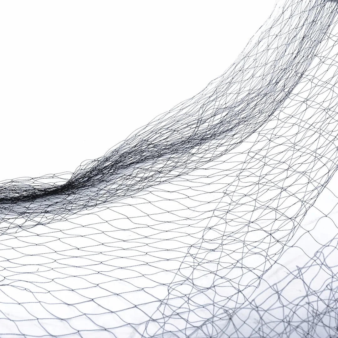 

Knitted Anti Bird Netting Pest Net Heavy Weight Bird-Preventing Net for Garden Fruit Tree Plant Vegetables Flower 10x10m/5x10m