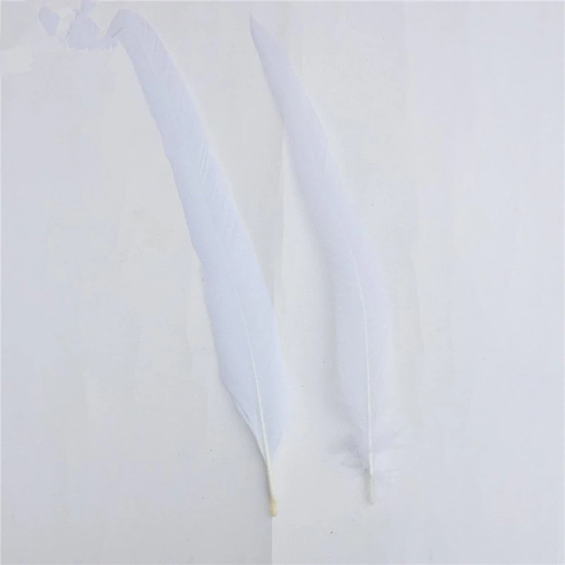 Высокое качество чисто белый Петух Coque хвост перья для ремесла свадебные украшения костюм украшения перья фазана