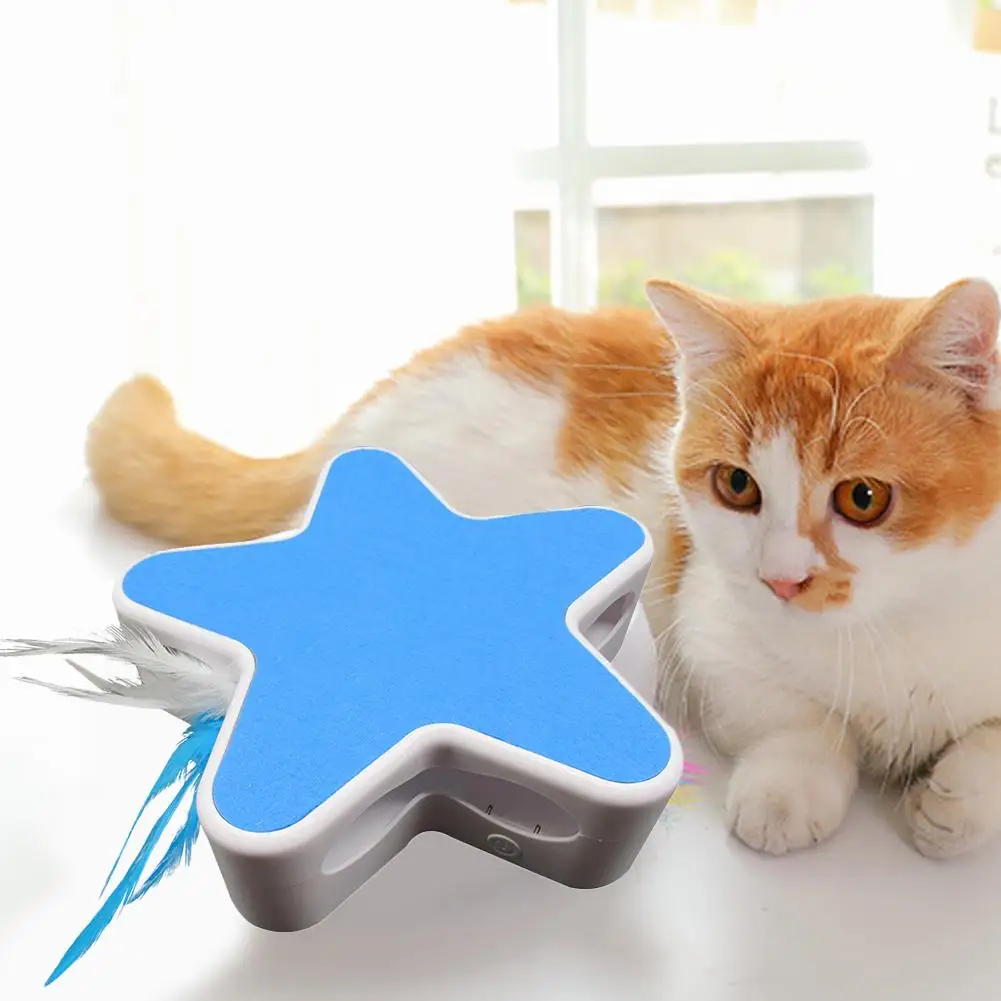 Starfish Cat-Teasing Turntable Image 3