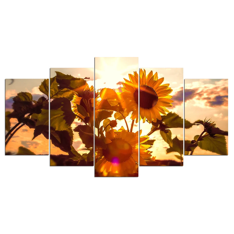 HTB1fbj0enXYBeNkHFrdq6AiuVXac