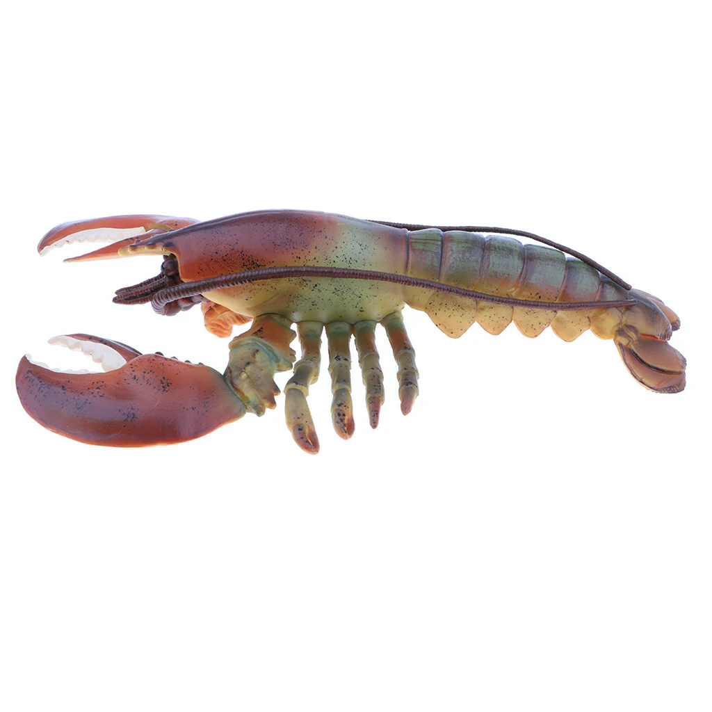 9 Inch Realistic Marine Animal Model Figurines, Plastic Lobster Action Figure Toy for Kids, Science Educational Toy, Collection