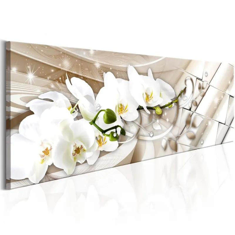 Beautiful Flower Orchids  1