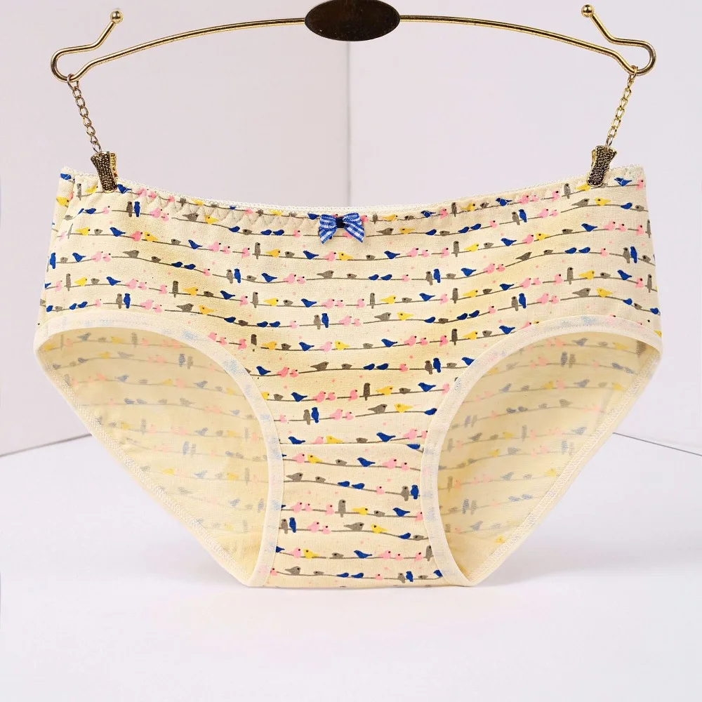 8554526465_541603624