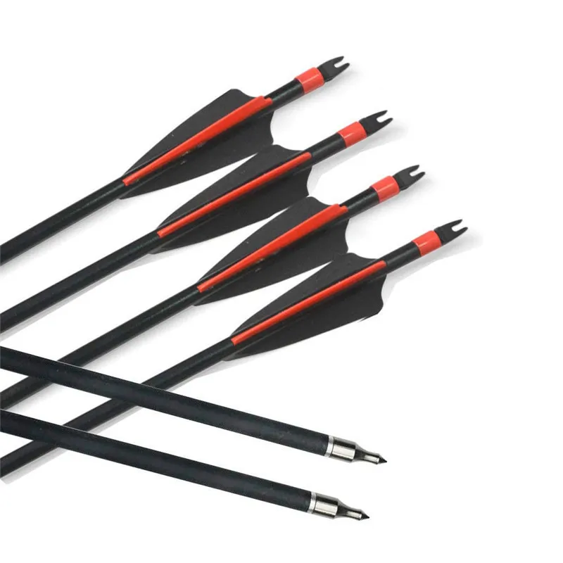 51e8IWx7zML._SL1000_