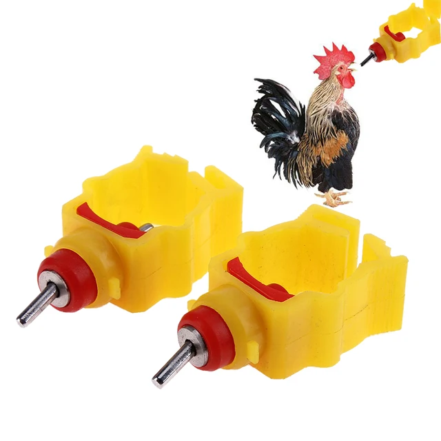 Abreuvoir Automatique Canards Et Oies