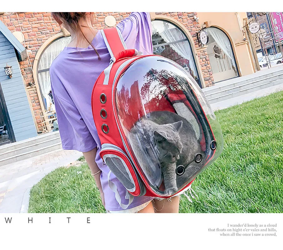 Модная переноска для кошек, собак, рюкзак для щенков, кошек, маленьких собак, прозрачная дышащая сумка для путешествий на открытом воздухе