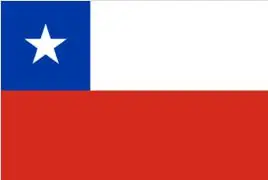

Chile Flags Wholesale Lot of 10 PCS National Polyester Banner150* 90cm 3ft x 5ft All over the world outdoor