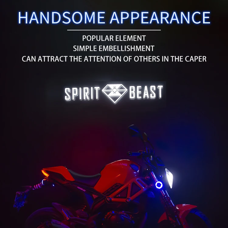 Аксессуары для мотоцикла SPIRIT BEAST декоративные светодиодные фонари фары