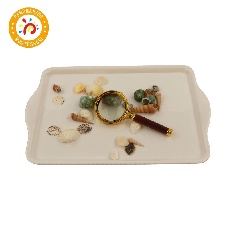  Montessori Material Explore Beech and Shells Daily Life Children Toy Teaching Aids Tray Magnifier - 4000026150558