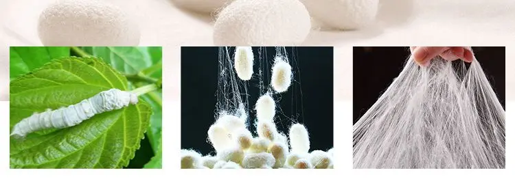 9000212929_694150972