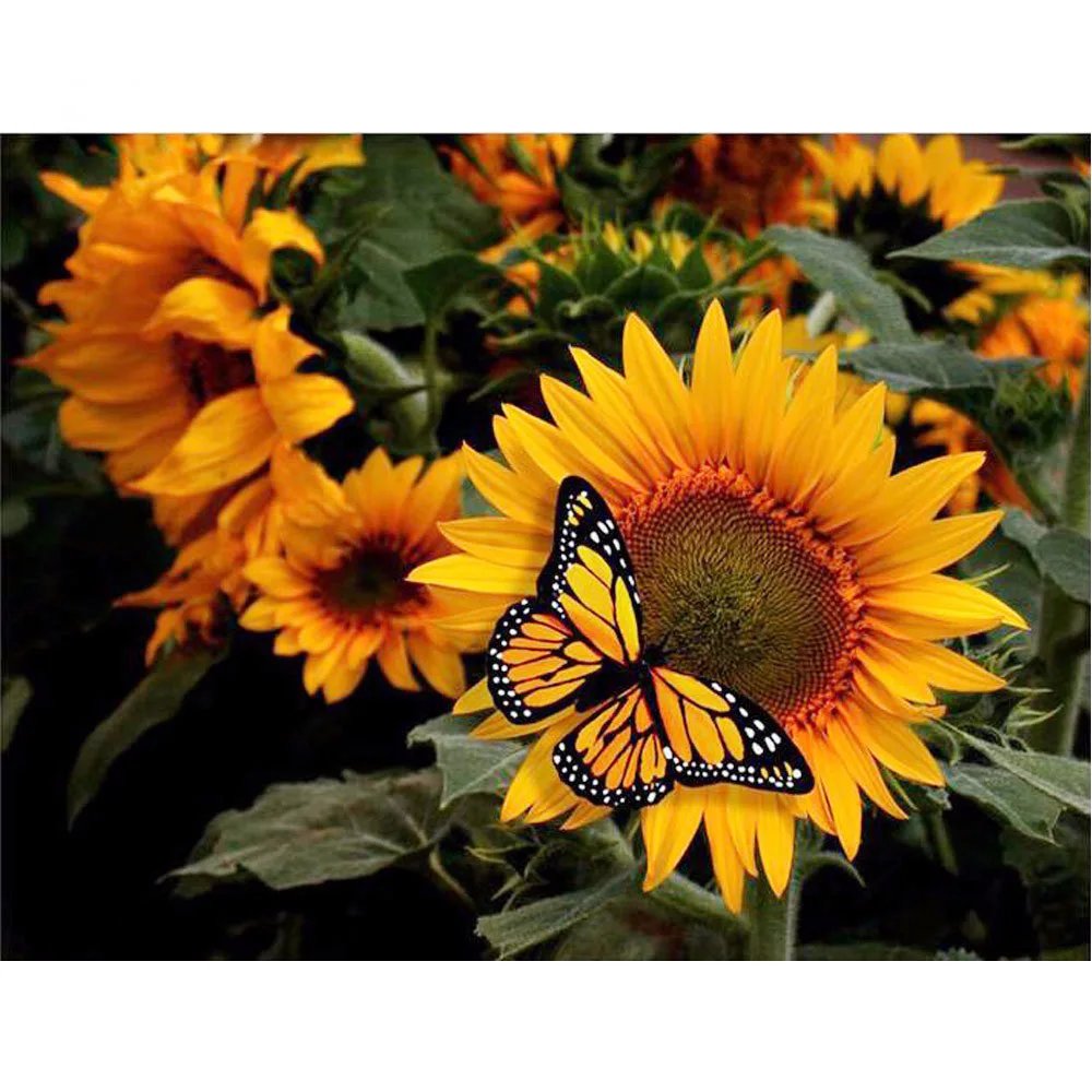 

5D DIY Diamond Painting Flower Full Square 3D Diamond Embroidery Cross Stitch Sunflower Butterfly Needlework Home Decorative