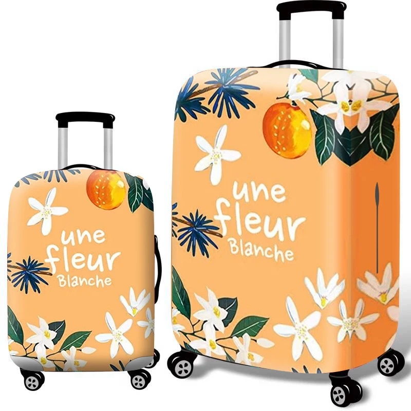 9058887958_178549433