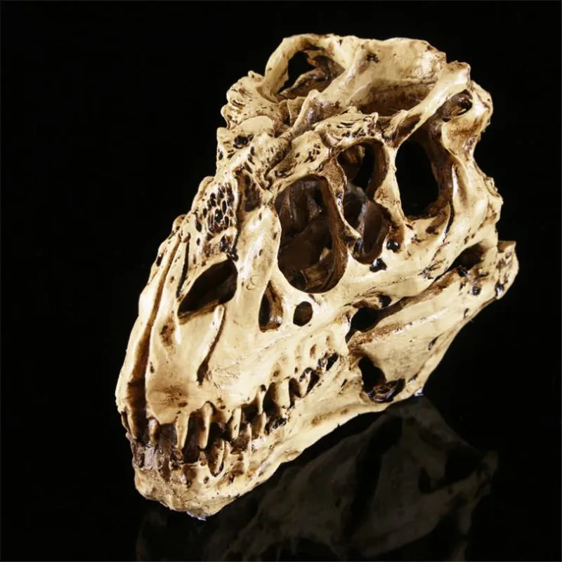 

Free shipping DIY Resin Crafts Dinosaur Tooth Skull Fossil Teaching Skeleton Model Halloween Home Office Halloween Decoration