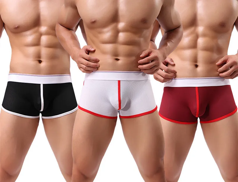 3PCS-1++