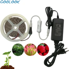 5 м водонепроницаемый растительный свет полный спектр светодиодные полосы цветок Фито лампа красный синий 4:1 для теплицы гидропоники+ адаптер питания