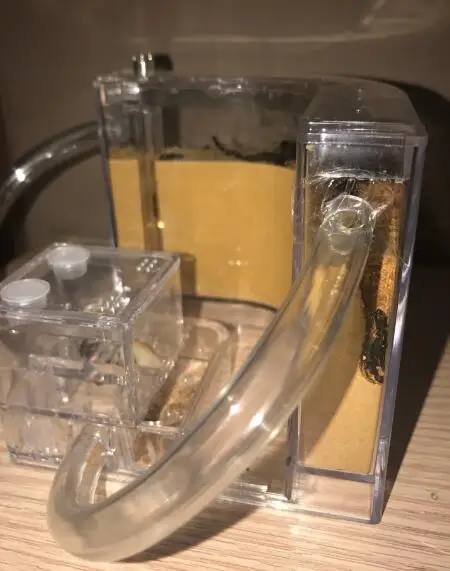professional-ant-nest (3)