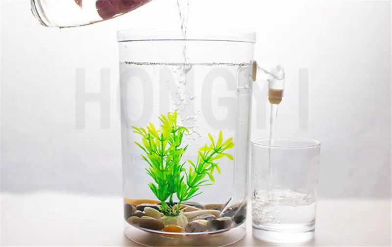 _2018-08-15T08-31-44.765Z