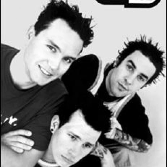 Blink 182 Studio Profile Poster Print (24 X 36)