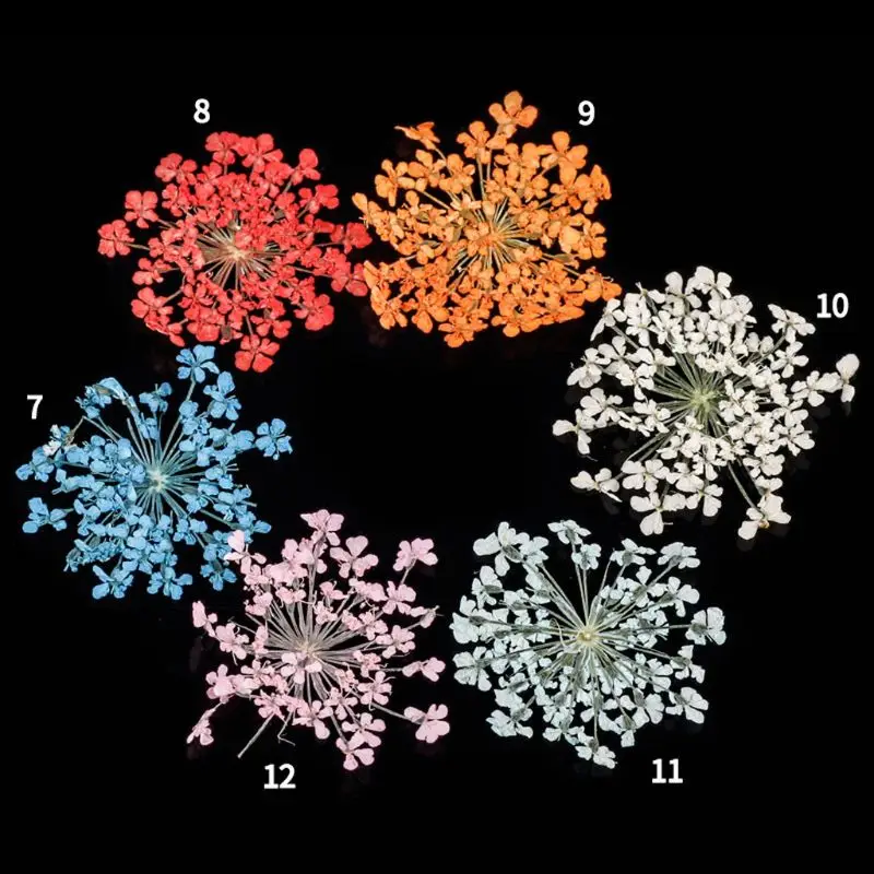 24 шт. настоящий прессованный цветок Анны кружева высушенный цветок для ногтей искусство смолы ювелирных изделий