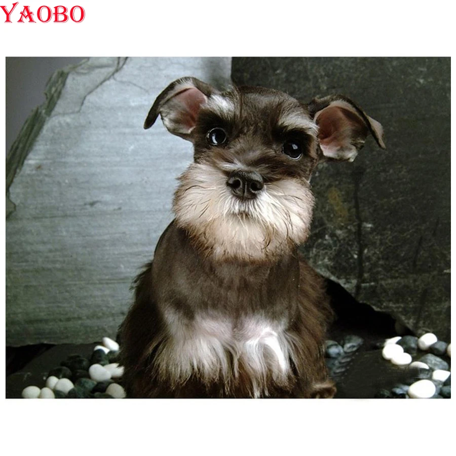 

5d full square rhinestone embroidery diamond painting Schnauzer Dogs Pet home decoration mosaic painting by numbers