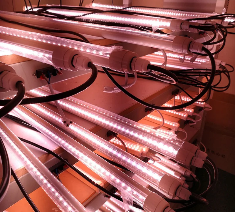 Waterproof LED Grow Light IP65 with Multi Usage for Hydroponics