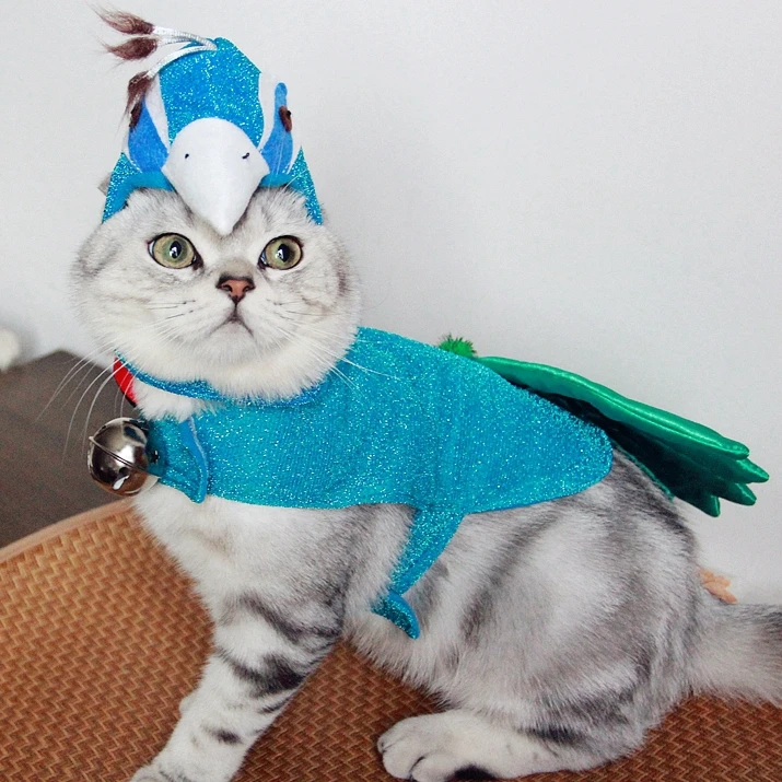 [MPK Store] Blue Peacock Cute Cat Wear, Cat Clothes, Pet Clothesin Cat