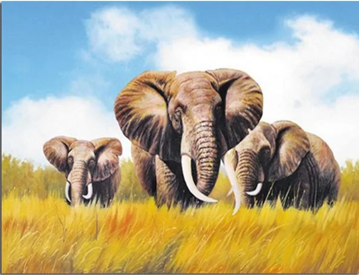 Three elephants. Three elephants. Слоны разновидности. How many elephants. Слон самец фото.