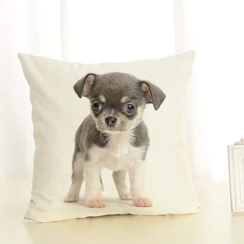 HTB18MOUSFXXXXcJXXXXq6xXFXXXD