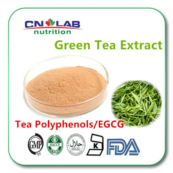 High quality for 150g Green Tea extract Powderpowder powderpowder