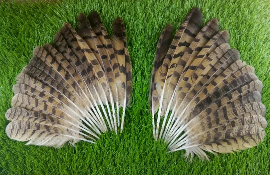 New! sale high quality owl feathers 25pcs / lot, 10 14 "/ 25 35cm, as